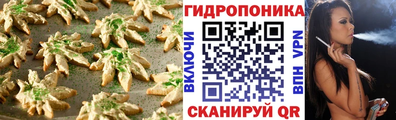 Canna-Cookies марихуана  KRAKEN ссылки  Светлоград 