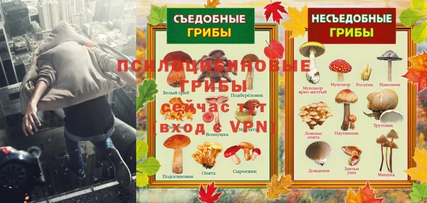 не бодяженный Медногорск