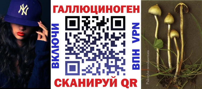 Галлюциногенные грибы Psilocybe  купить закладку  Светлоград 