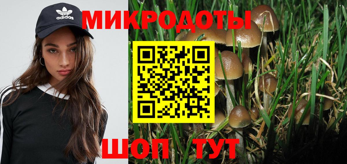 Псилоцибиновые грибы мицелий  Вход с VPN  Светлоград 