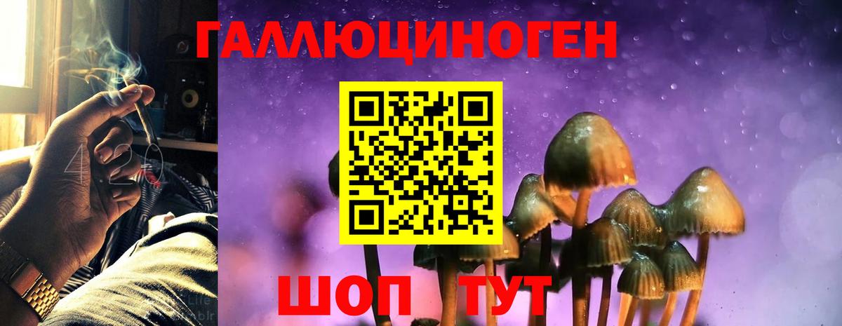 Галлюциногенные грибы Cubensis Светлоград